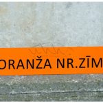 Oranza_nr_zime