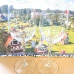 vina-glaze-wine-glass-sample-komplekts
